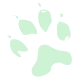 patte pattoune griffe chien loup canidé